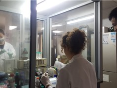 Những động lực đang định hình lại giáo dục đại học toàn cầu